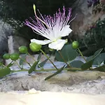 Pensión Ca' Di Bianca 3*