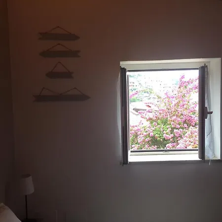 Guest house Ca' Di Bianca Moneglia