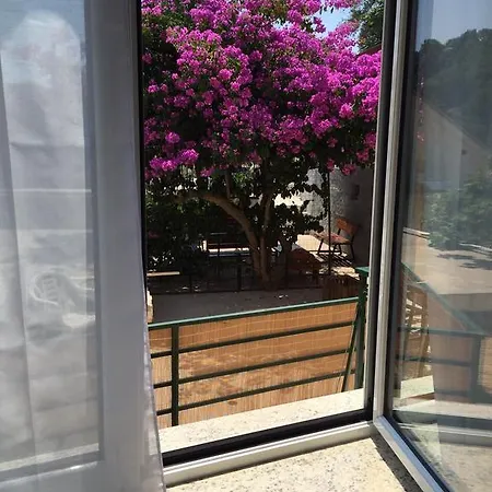 Guest house Ca' Di Bianca Moneglia