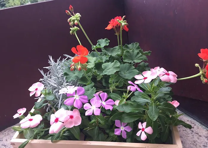 Penzion Ca' Di Bianca 4*