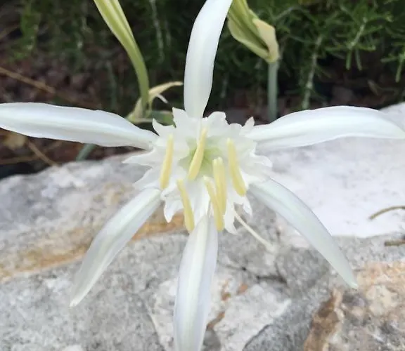 Penzion Ca' Di Bianca 4*