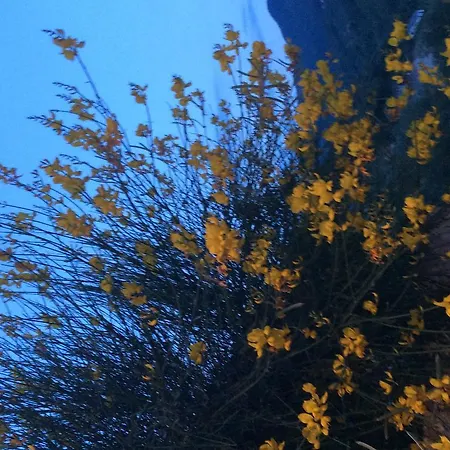 Гостевой дом Ca' Di Bianca