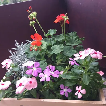 招待所 Ca' Di Bianca 4*