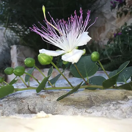 招待所 Ca' Di Bianca 4*