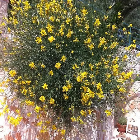 招待所 Ca' Di Bianca