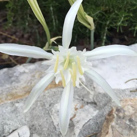 招待所 Ca' Di Bianca 4*