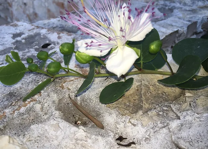 Penzion Ca' Di Bianca Moneglia