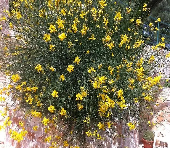 Penzion Ca' Di Bianca